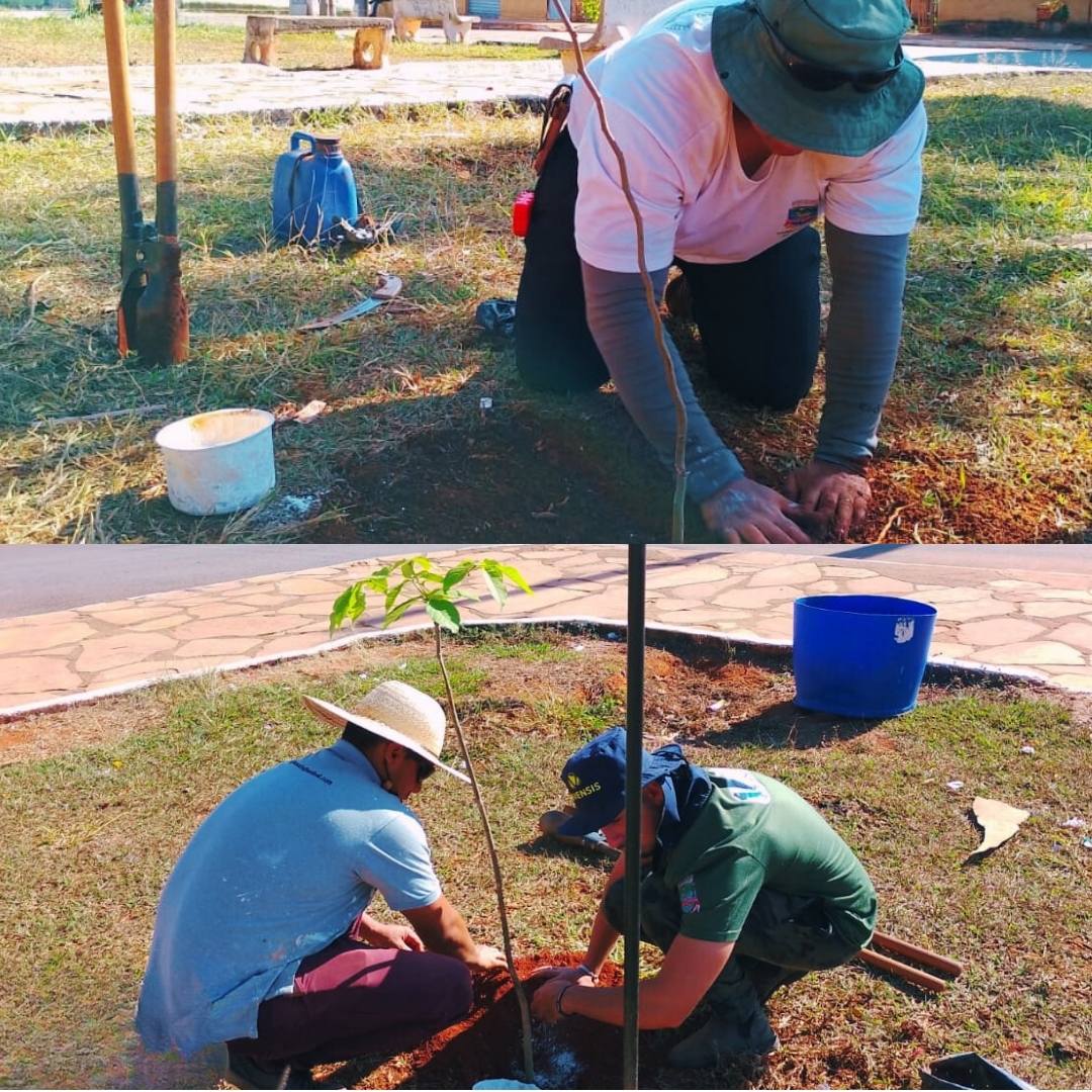 PLANTIOS E PODAS EM SANTO ANTÔNIO DAS POSSES