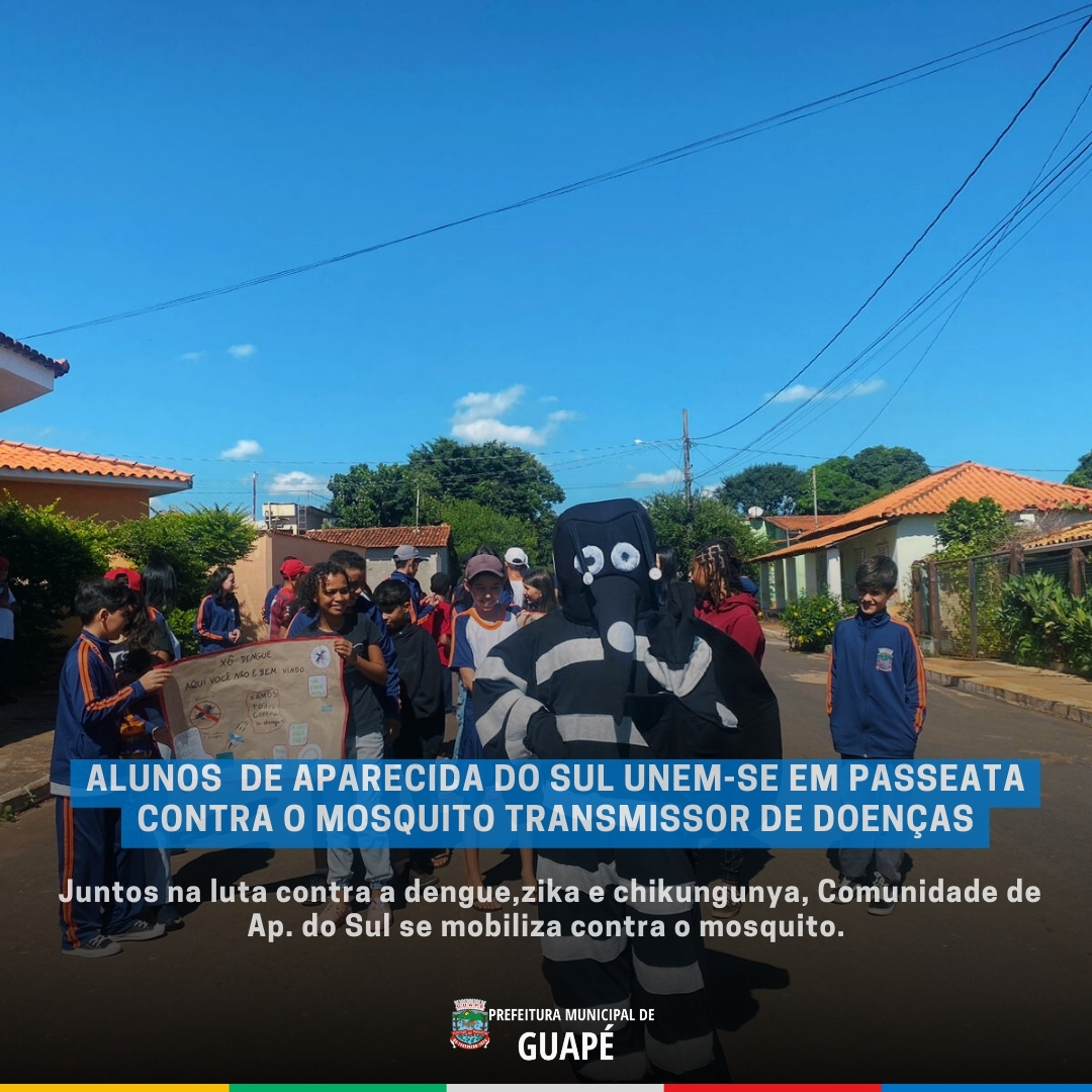 ALUNOS DE APARECIDA DO SUL UNEM-SE EM PASSEATA CONTRA O MOSQUITO TRANSMISSOR DE DOENÇAS