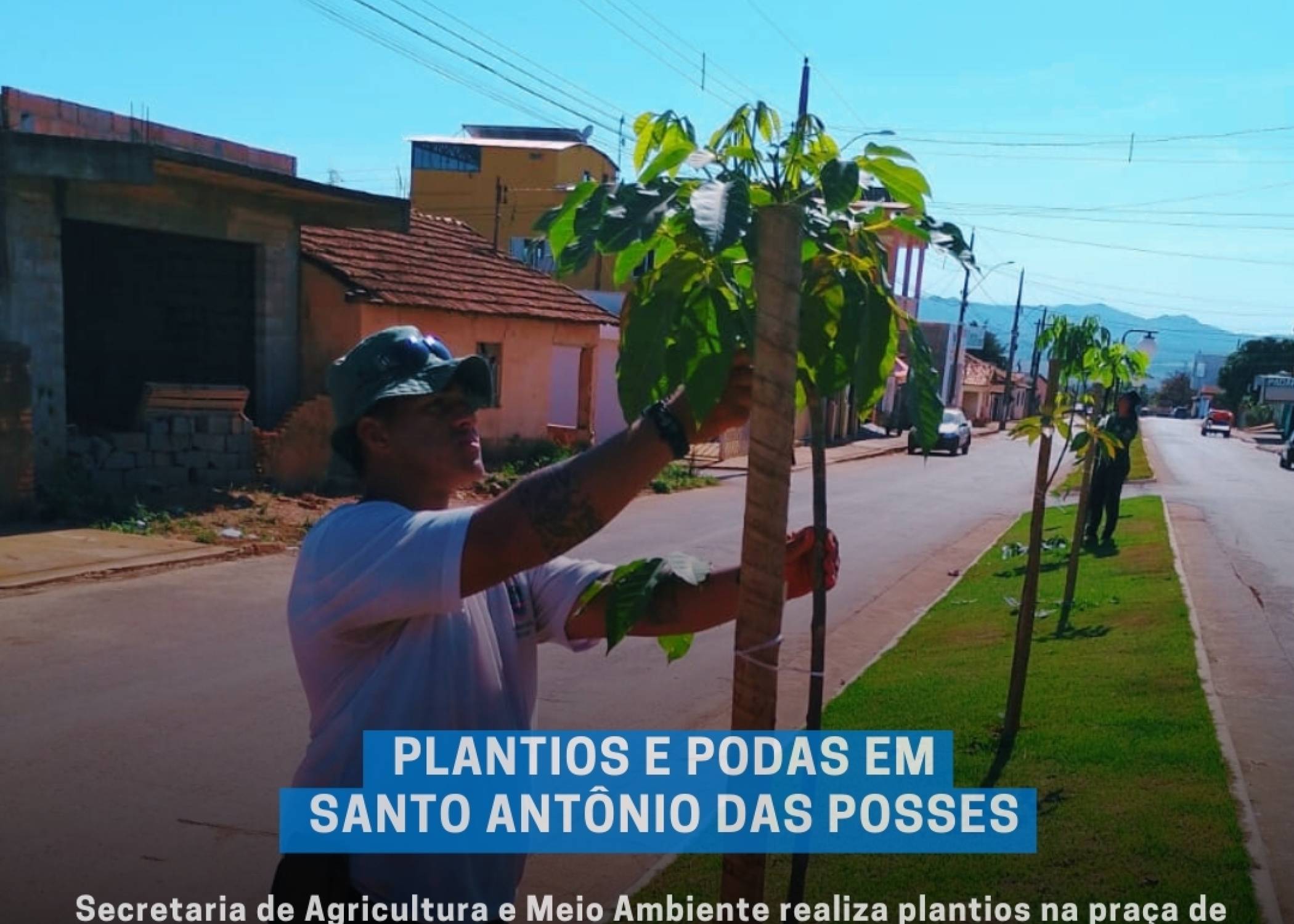 PLANTIOS E PODAS EM SANTO ANTÔNIO DAS POSSES